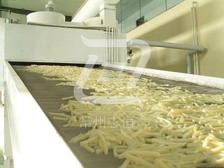DWC Dehydrated Vegetables Belt Dryer